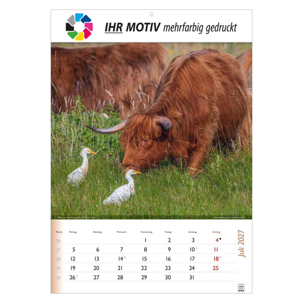/customers_pics/593/artikel/1112113190/Wunderbare Tiere_2027_213-2027_IhreWerbung_7.jpg